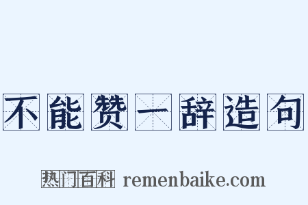 不能赞一辞造句是什么意思的图片